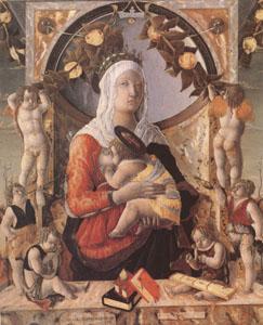 Marco Zoppo The Virgin and Child Surrounded by Eight Angels (mk05)